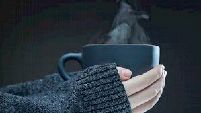 10 Simple Ways to Save Energy and Stay Warm This Winter